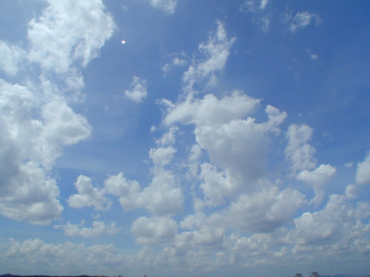 28791 (a): :1600x1200